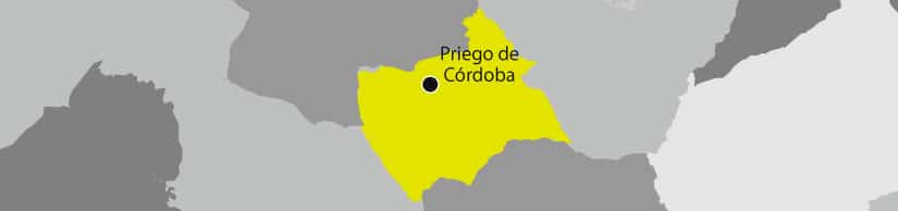 Aceite Priego de Córdoba