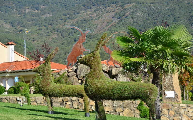 Losar de la Vera, Qué ver en Losar de la Vera, el pueblo habitado por esculturas botánicas