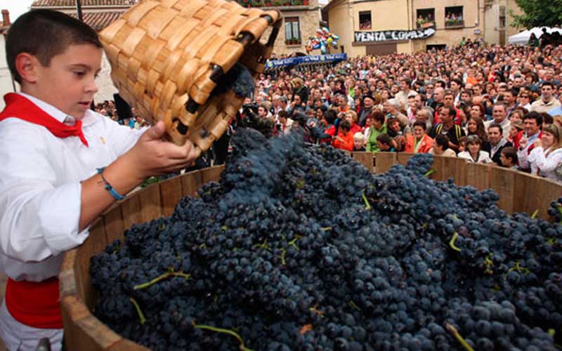 Fiesta de la Vendimia de Rioja Alavesa