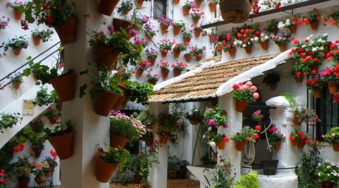 Escapadas baratas de primavera patios de Córdoba