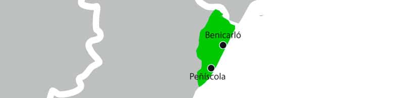 alcachofa benicarlo