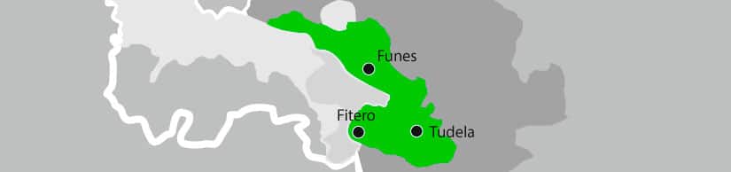 Alcachofa de Tudela