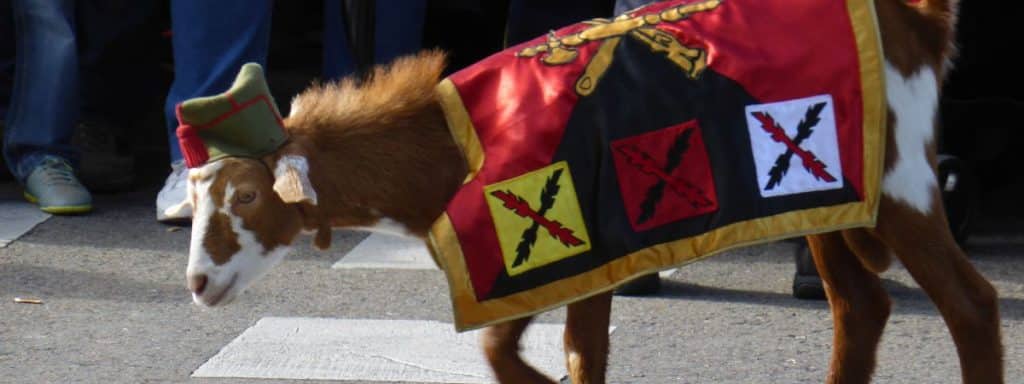 cabra de la Legión, mascotas militares más famosas