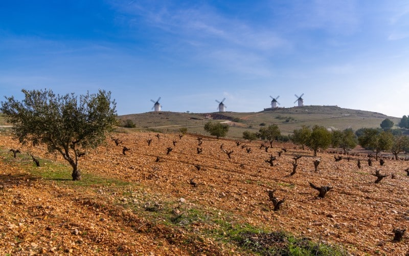 Un paisaje típico de Castilla-La Mancha