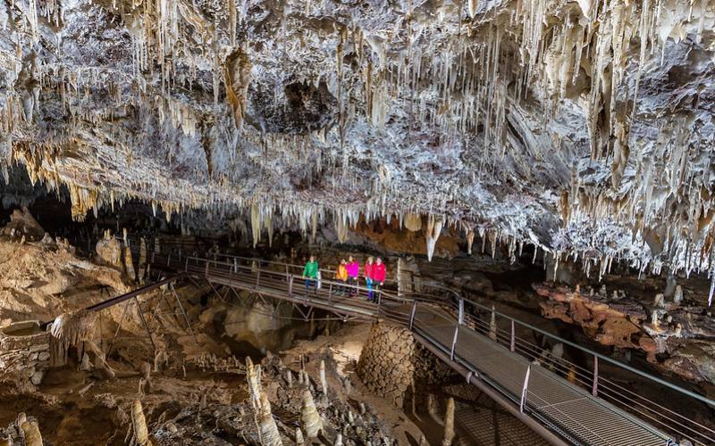 Visita guiada Cueva El Soplao