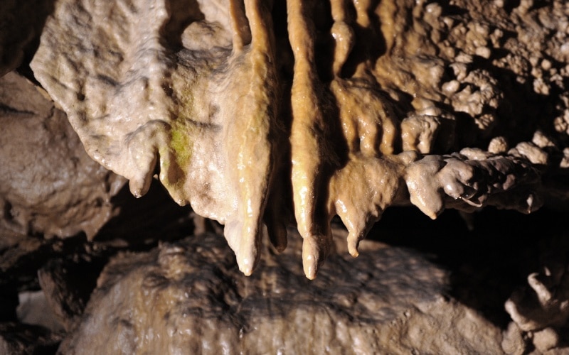 Formaciones en la Cueva de los Murciélagos