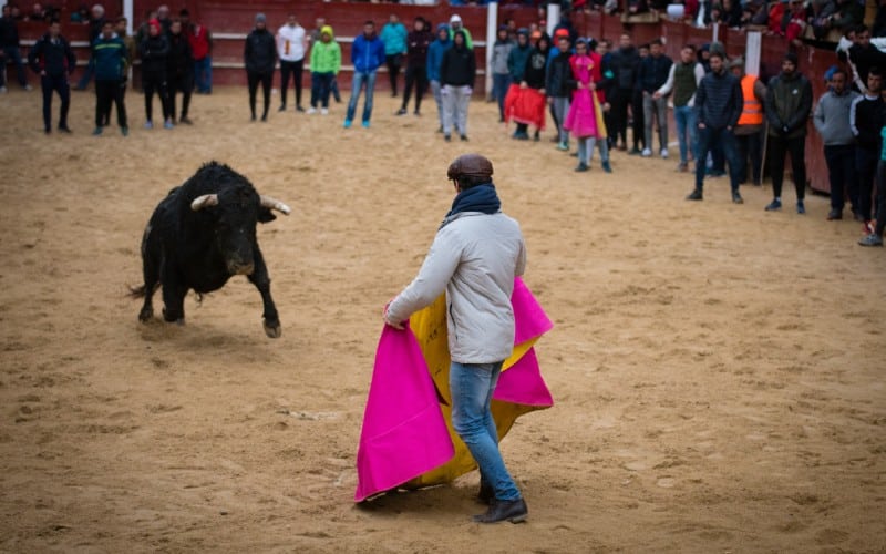 carnaval del toro