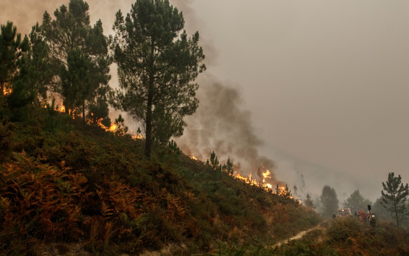 Incendios Galicia 2017