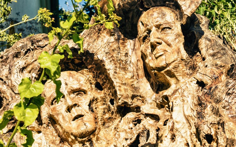 Detalle de los bustos tallados en un tronco de árbol