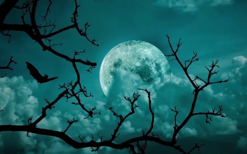 Una gran luna oculta por las nubes y ramas con la silueta de un murciélago