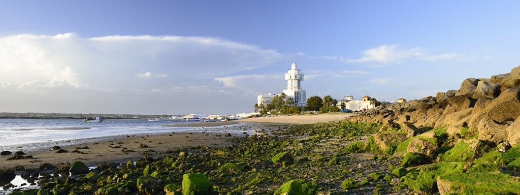 Marismas de Isla Cristina