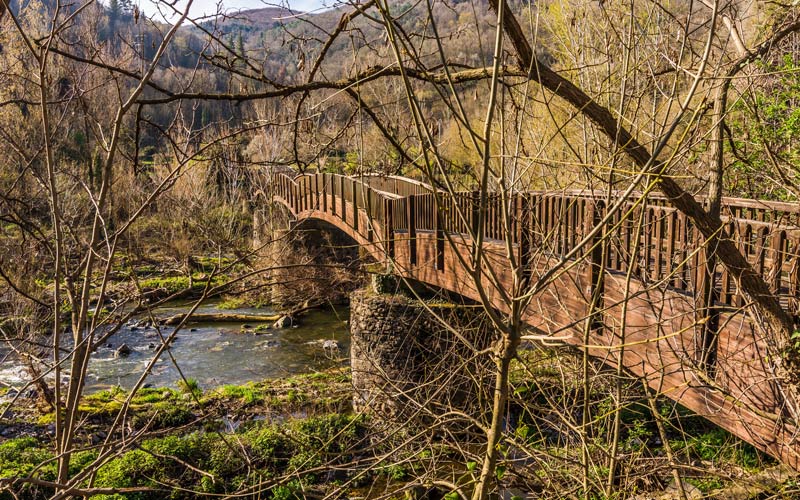 Puente sobre el río Fluvià | Shutterstock