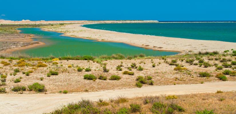 playas de los parques naturales, Playas de los parques naturales de Cataluña