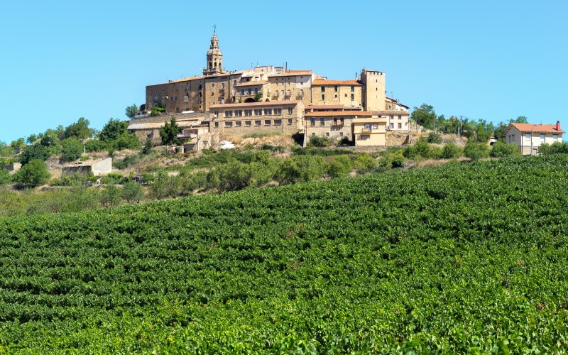 Vista del pueblo de Labraza en la Rioja Alavesa