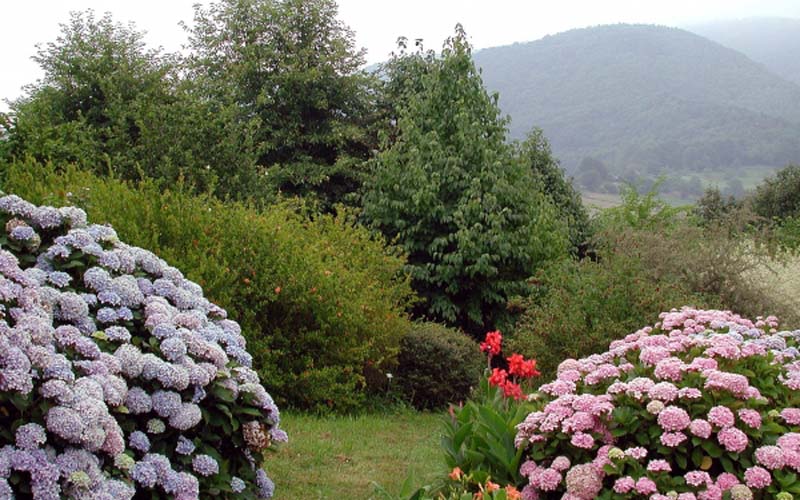 jardines euskadi, Los jardines públicos más bellos de Euskadi