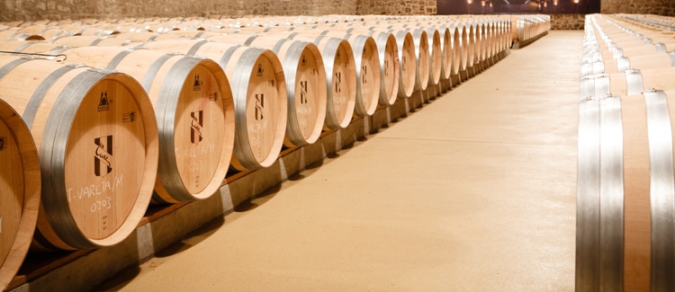 Vino Rioja en Navarra