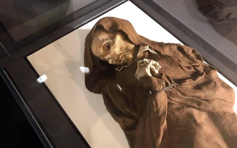 momias de quinto, El museo de las momias de Quinto, una macabra muestra única en España
