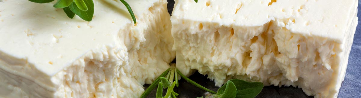 Comer Bien Y Barato En Palencia