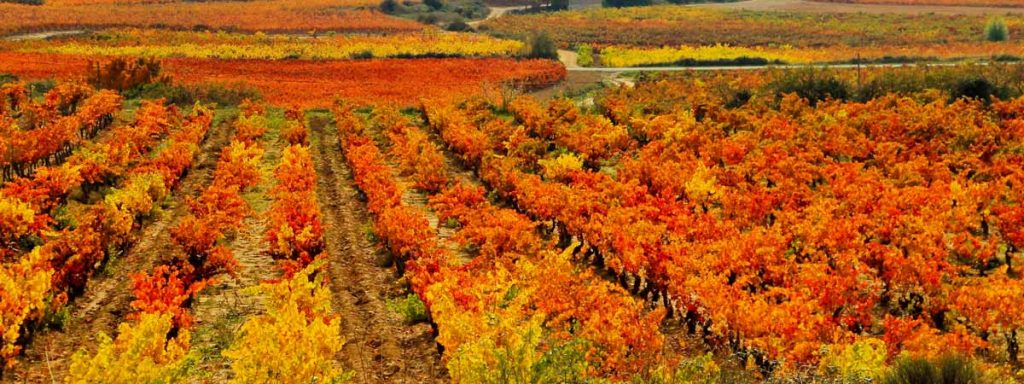 turismo en la rioja, Los mejores planes de turismo en La Rioja