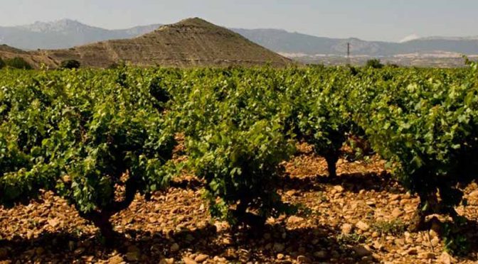 vino Rioja en País Vasco