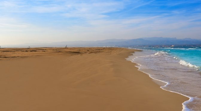 Playa Punta del Fangar