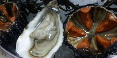 Comer ostras Sant Agusti Vedra restaurante soul kitchen
