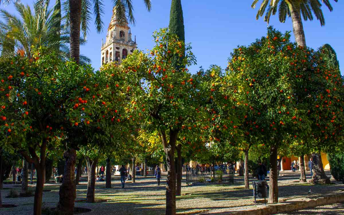 Patio de los Naranjos en la Mezquita-Catedral de Córdoba.