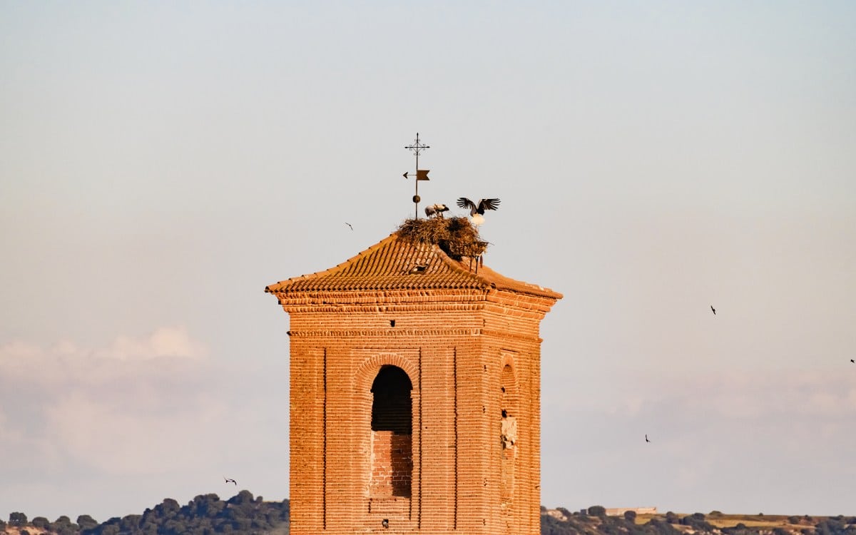 Torre de la iglesia de Marchamalo
