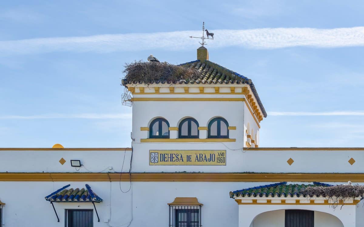 Puebla del Río